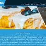 jasa pembuatan toko online - tema katalog home blue