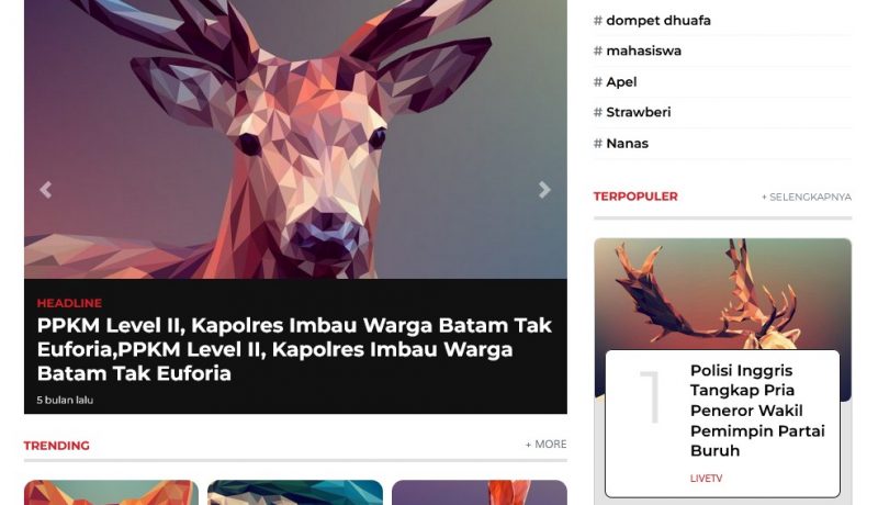 tema wordpress mirip berita satu